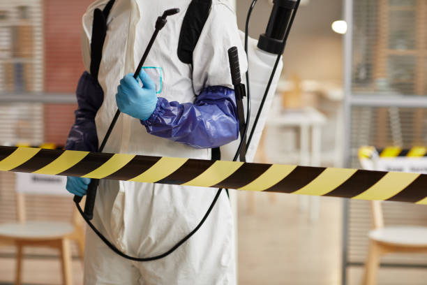 Professional Sewage Cleanup technician working in Phelan, CA